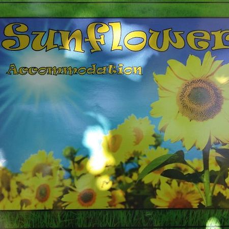 Sunflower Accommodation Любляна Экстерьер фото