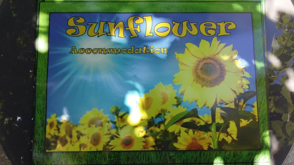 Sunflower Accommodation Любляна Экстерьер фото